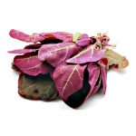 Imagine produs anterior