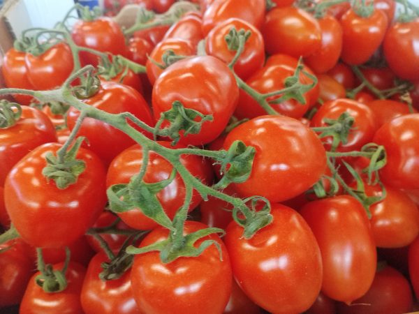 Rosii cherry picadeli